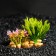 Aquarium artificial aquarium plant on a stone stand, 14 x 11 x 7 cm