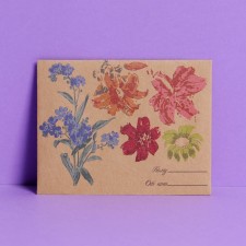 Gift envelope 