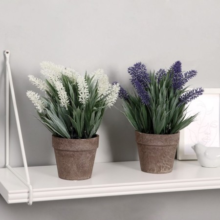 Bonsai in the pots "Muscari" 10x22 cm, mix-2