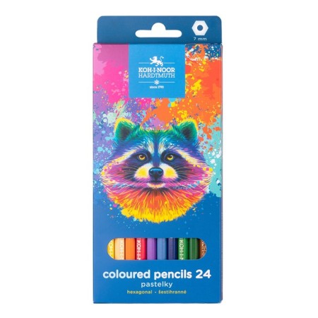 Pencils 24-ZV K-I-N 3554 RACOON, hexagon, cards/UP