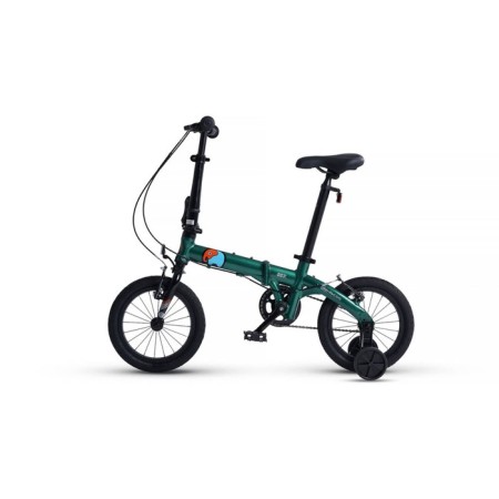 Bicycle 14 ’’ maxiscoo s007 standard, green color-2