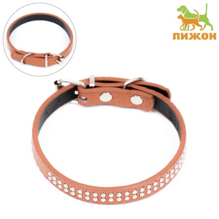 The collar of riveted with 2 rows of rivets, 33 x 1.2 cm, Osh 23-29, brown