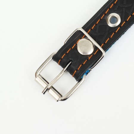 Collar leather reinforced with a kapron with a half-ring, 55 x 2.5 cm, Osh 27-53 cm, black-4