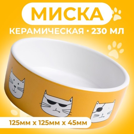 Ceramic "Danger cats" 230 ml 12.5 x 4.5 cm, white-orange