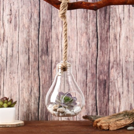 Florarium "Lamp" with a rope, D ot-5 cm 9x9x13 cm-1