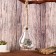Florarium "Lamp" with a rope, D ot-5 cm 9x9x13 cm