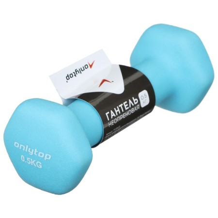 Non -repteenum dumbbells, 0.5 kg, blue color-1