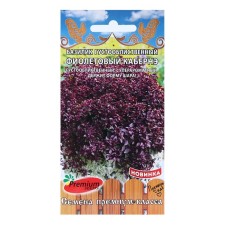 Basil seeds dense violet purple cabinet 10 pcs.