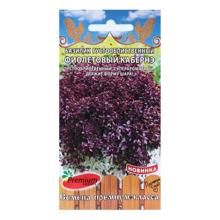 Basil seeds dense violet purple cabinet 10 pcs.
