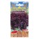 Basil seeds dense violet purple cabinet 10 pcs.