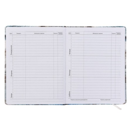 Universal diary for grade 1-11 Watching You, solid cover, artificial leather, foam rubber, liesse, 80 g/m2-4