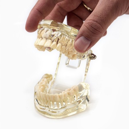 Magist "Jaw" 9*6*7cm-5