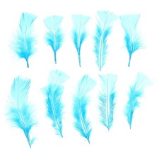 A set of feathers for decor 10 pcs., Size 1 pc: 10 × 4 cm, blue color