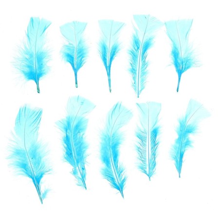 A set of feathers for decor 10 pcs., Size 1 pc: 10 × 4 cm, blue color
