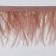 Braid with ostrich feathers, 8-10 cm, 5 ± 0.5 m, salmon color
