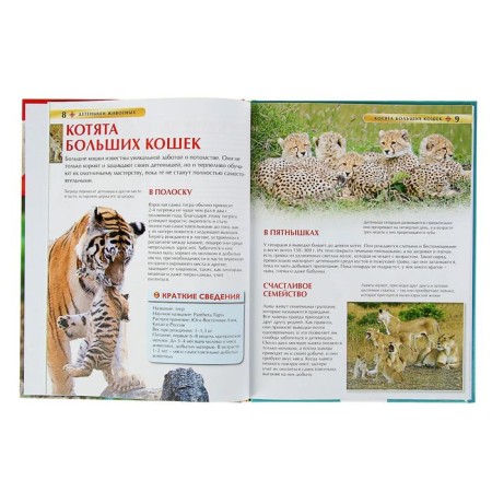Children's Encyclopedia. Baby animals-2