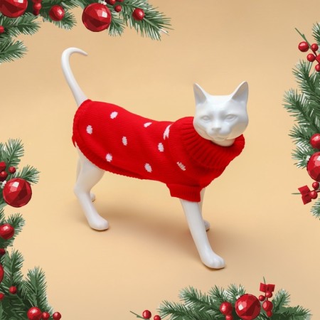 Sweater "Golshek", size 10 (DS 23-26, OG 28-35, Osh 18-22 cm), red