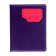 School diary for grades 5-11, PVC cover, Neon, mix