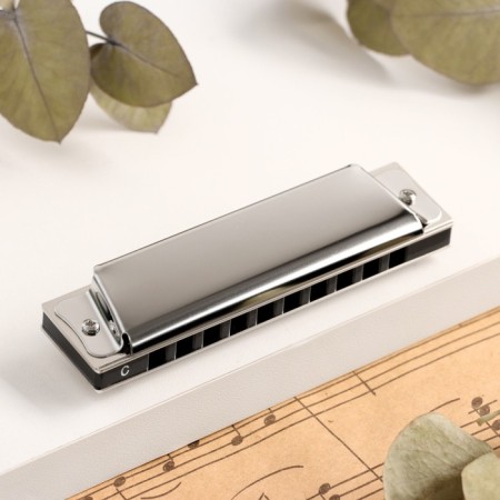 Music Life T10 C Diatonic Harly, 10 holes, with a case-1