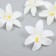 Budon on the leg for decoration "Lily Garden" white 6.5x6.5 cm