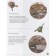 Encyclopedia of dinosaurs and the most unusual prehistoric animals