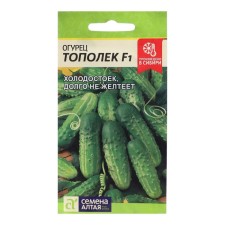 Seeds of cucumber 