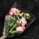 Packet for flowers, 1 rose cone, 6+21*80cm, transparent