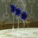 Glass candlestick set 3 pcs "velvet night" height 26cm, 23 cm, 20 cm