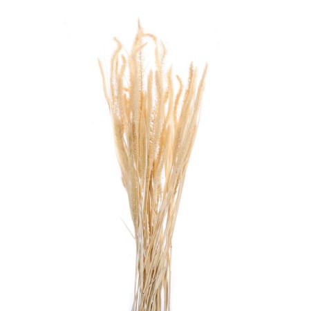 Sukhotzet "Shchetinnik", white, 30 - 50 g in packaging-3