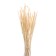 Sukhotzet "Shchetinnik", white, 30 - 50 g in packaging