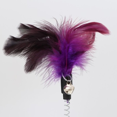 Disciplier based on "Festival", 15 cm, dark purple/light blue-1