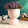Kashpo - Vase "Cup" 15x11cm pink