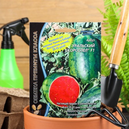 Watermelon seeds "Urals Ozeropel", F1, 3 pcs
