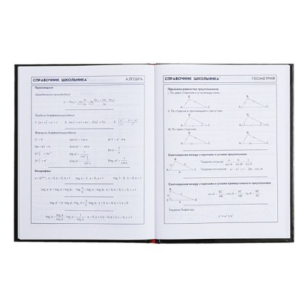Diary for grades 5-11, 48 sheets "Balance", hard cover, glossy lamination, universal cheat sheet, block 65g/m2-9