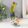 Souvenir Polystone Lac "Frog - Walk with the Dog" 16.5x9x4.5 cm