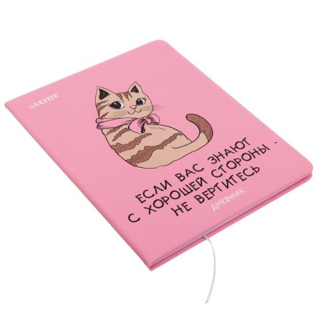 Universal diary for grade 1-11 "Do not revolve!", Firm cover, artificial leather, silkography, lies, 80 g/m2-1