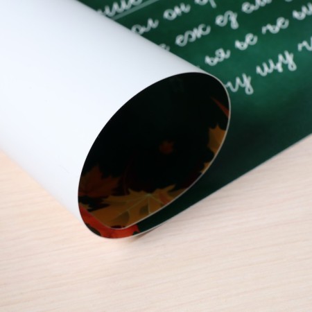 Laying on the table plastic A3 (460 x 330 mm), calligrata "Write correctly. Letter", 430 μm, teaching-3