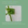 Mounts for climbing plants, 4*4 cm butterfly (set 10 pcs) self -adhesive