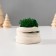 Souvenir mini "snake" twisted with moss white 7x6x4 cm (moss green stabil)