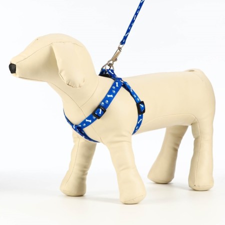 Kapon "Bones and Paws" kit, leash 120 x 1.5 cm, og 30-44 cm, blue-1