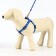 Kapon "Bones and Paws" kit, leash 120 x 1.5 cm, og 30-44 cm, blue
