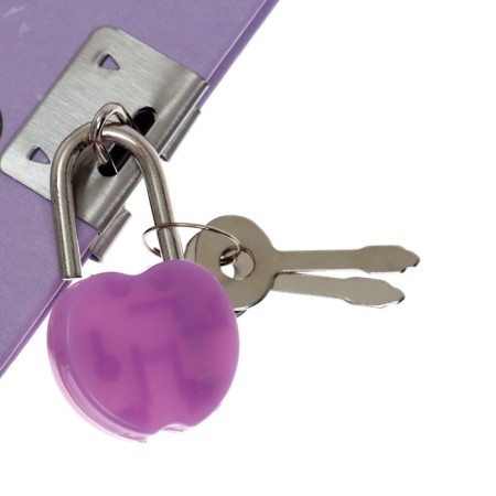 Notebook Gift Book on the lock, A6+, 50 sheets, line, "Flowers", mix-4