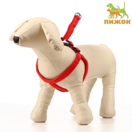 COMPORTS COLLECT COMBODY, 1.5 cm, Osh 36-50 cm, og 40-55 cm, red