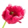 Flowers artificial tulip wave 68 cm raspberry