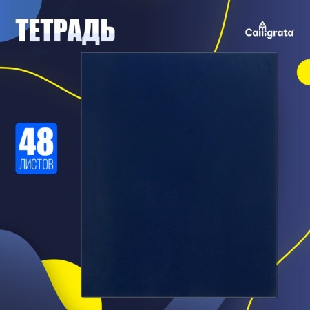 Notebook of 48 sheets in the Calligrata cage, boumvinyl, offset block, blue