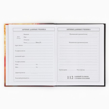 School Diary 1-4 class, in a solid cover, 48 liters "September 1: football"-3