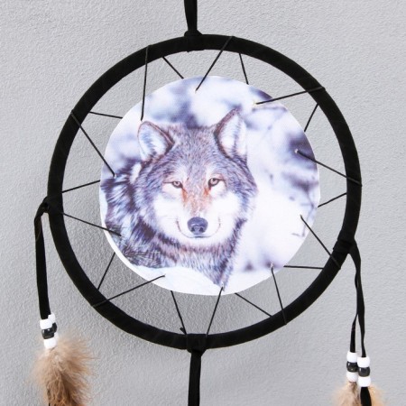 Dreams YX37 "Gray Wolf" Circle d = 20 cm-2