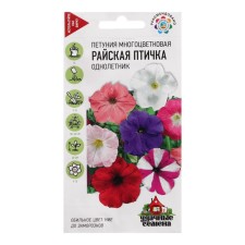 Petunia seeds multicolored 