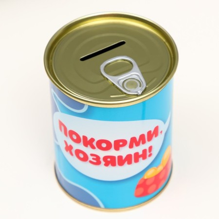 Pigger Bank Metal "Find the owner"-3