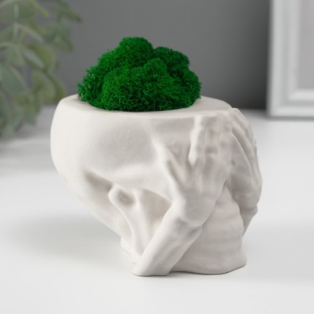 Kashpo Concrete "Seek Skull" with moss 7x10 cm white (moss green stabilized)-2